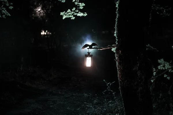 Foresta Oscura Spaventosa Concetto Horror Halloween Pipistrello Sta Spiegando Ali — Foto Stock