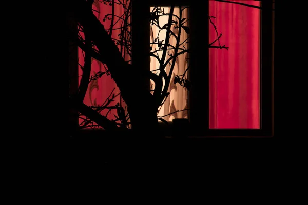 Silueta Ramas Árbol Ventana Con Cortina Roja Por Noche Zoom —  Fotos de Stock