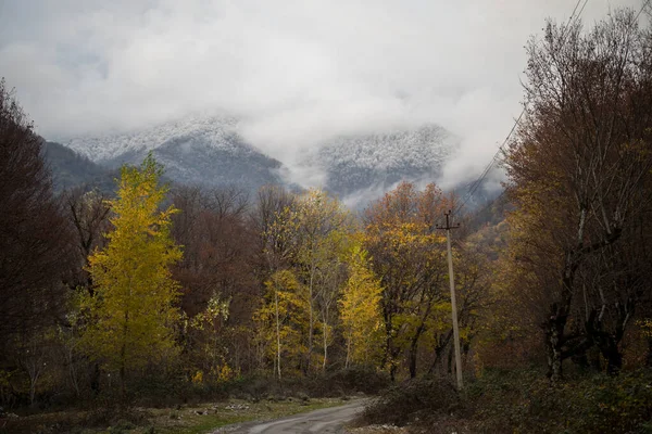 Increíble Vista Con Colorido Bosque Otoño Con Carretera Montaña Asfalto —  Fotos de Stock