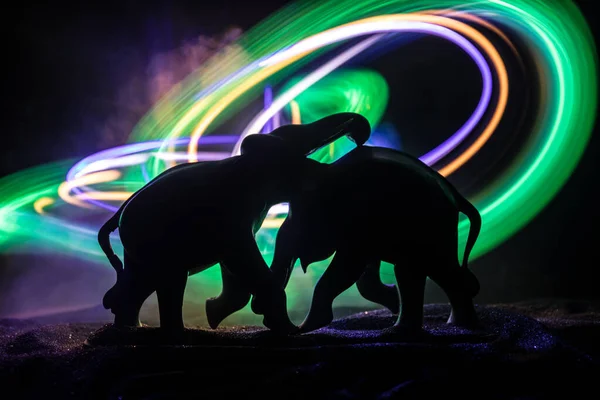 Elephant Fighing Sylwetki Tle Ognia Lub Dwa Słonie Byki Interakcji — Zdjęcie stockowe