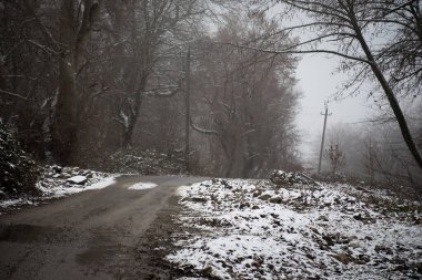 Dağlardaki kış ağaçları taze karla kaplıdır. Ağaç dallarının karla kaplı olduğu güzel bir manzara. Kafkasya 'daki dağ yolunda. Azerbaycan