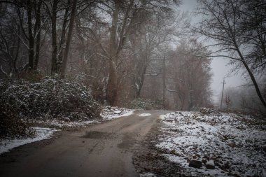 Dağlardaki kış ağaçları taze karla kaplıdır. Ağaç dallarının karla kaplı olduğu güzel bir manzara. Kafkasya 'daki dağ yolunda. Azerbaycan