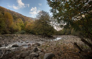 Güneşli bir sabahta dağ nehri. Dağlarda güzel doğa. Azerbaycan Kafkasya doğası.