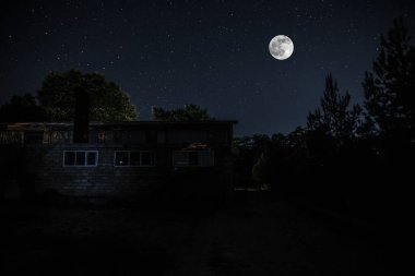 Geceleri ormanda bir hayaletin olduğu eski bir ev ya da sis içinde terk edilmiş bir korku evi. Ölü ağaç ormanındaki eski mistik bina. Geceleri aylı ağaçlar. Gerçeküstü ışıklar. Korku Cadılar Bayramı konsepti