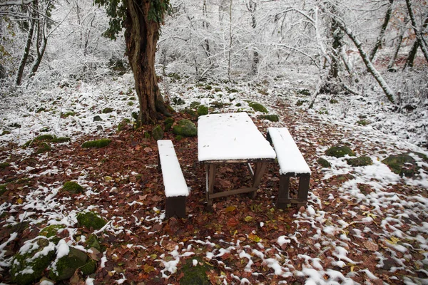 Old Wooden Table Top Covered Snow Winter Forest Snowy Background — Stock Photo, Image