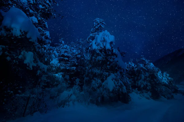 Górska Droga Przez Zaśnieżony Las Podczas Pełni Księżyca Malowniczy Zimowy — Zdjęcie stockowe