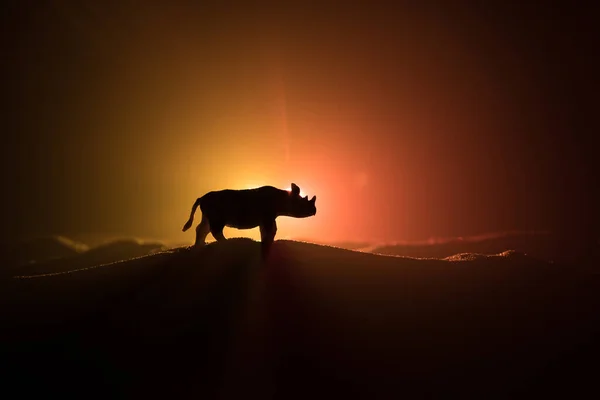 Silhouette Einer Nashorn Miniatur Die Nebliger Nacht Steht Kreative Tischdekoration — Stockfoto