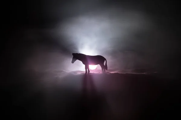 Silhouette Una Miniatura Cavallo Piedi Una Notte Nebbiosa Decorazione Creativa — Foto Stock