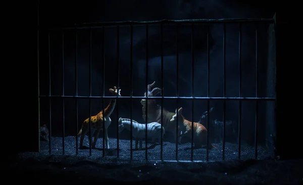 笼中的一群动物 野生动物在动物园的概念 燃烧着五彩缤纷的背景有选择的重点 — 图库照片