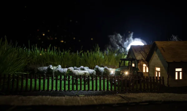 Des Moutons Dans Ferme Concept Vie Agricole Village Figurines Jouets — Photo