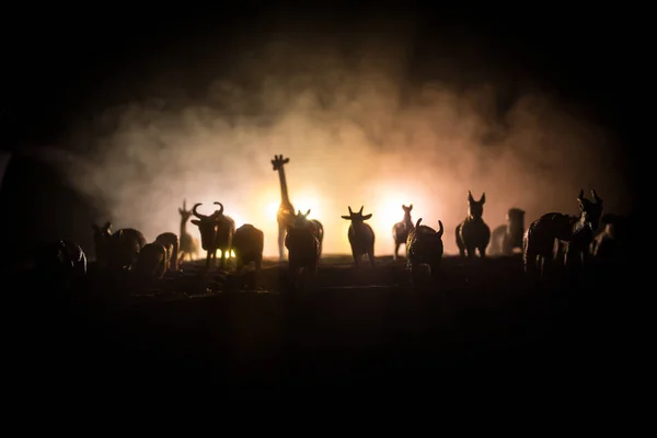 Een Groep Dieren Worden Gegroepeerd Mistige Nacht Met Brandende Kleurrijke — Stockfoto