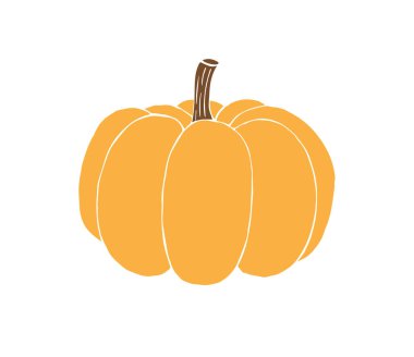 Vektör el çizimi beyaz arkaplanda izole edilmiş renkli balkabağı çizimi