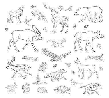 Vektör el çizimi bohça çizim beyaz arka planda izole vahşi orman hayvanları