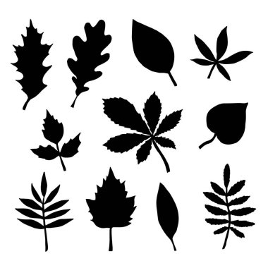 Elle çizilmiş vektör paketi beyaz arkaplanda izole edilmiş yapraklar silueti