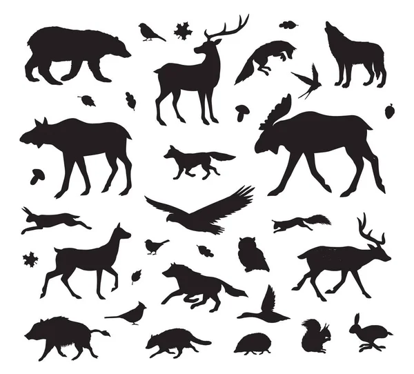 Conjunto Vectores Silueta Animales Silvestres Dibujados Mano Aislados Sobre Fondo — Archivo Imágenes Vectoriales