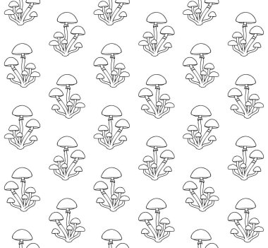 Ballı mantarın kusursuz deseni