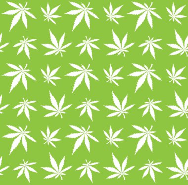 Beyaz elin vektörsüz deseni yeşil arka planda izole edilmiş esrar kenevir yaprakları çiziyor.