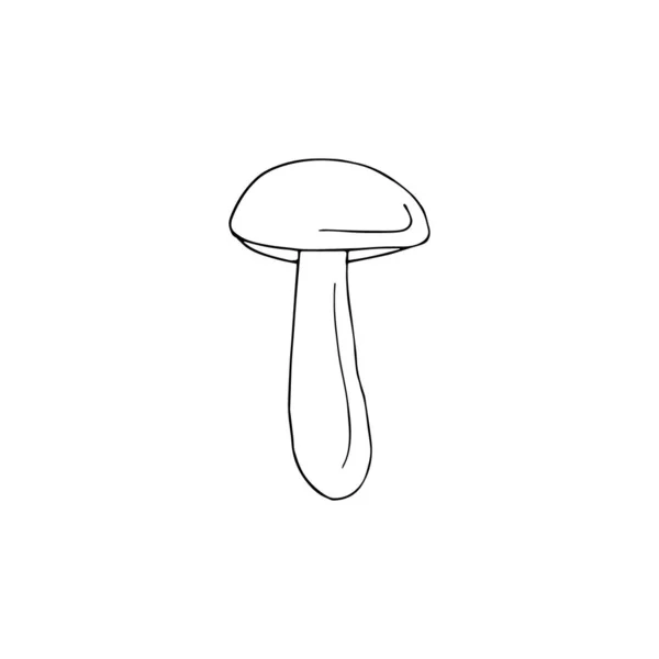 Bozzetto Scarabocchio Disegnato Mano Vettoriale Boletus Tazza Arancione Isolato Sfondo — Vettoriale Stock