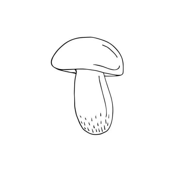 在白色背景下分离出的病媒手绘涂鸦国王双色蘑菇 — 图库矢量图片