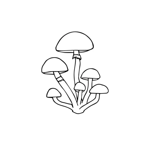 Vector hand drawn doodle sketch honey mushroom — Stock Illustration Vector hand drawn doodle sketch honey mushroom Royalty Free Stock Vectors