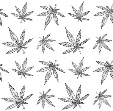 El çiziminin vektörsüz deseni. Beyaz arka planda izole edilmiş marihuana keneviri yaprakları.