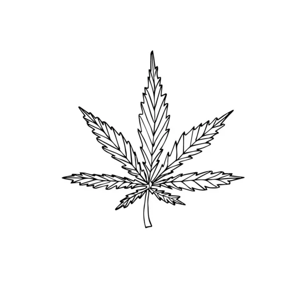 Vector Dibujado Mano Doodle Bosquejo Cáñamo Cannabis Aislado Sobre Fondo — Vector de stock