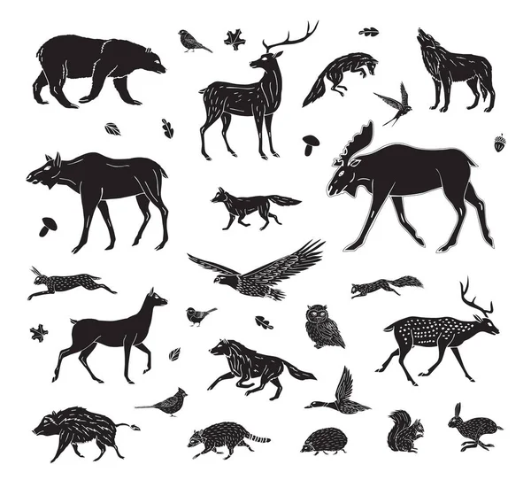 Vector Set Bundle Black Hand Drawn Doodle Sketch Wild Forest — Stock Vector