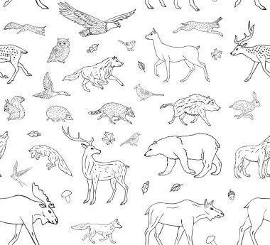 El çiziminin kusursuz çizimi. Beyaz arka planda izole edilmiş vahşi orman hayvanları.