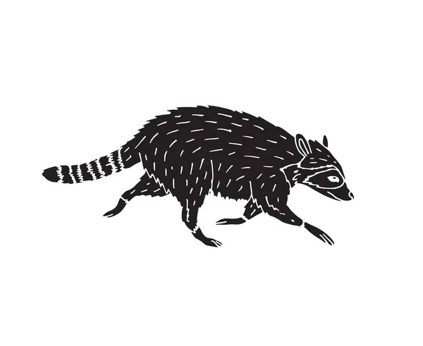 Vector Black Hand Drawn Doodle Sketch Raccoon Isolated White Background — Stock Vector