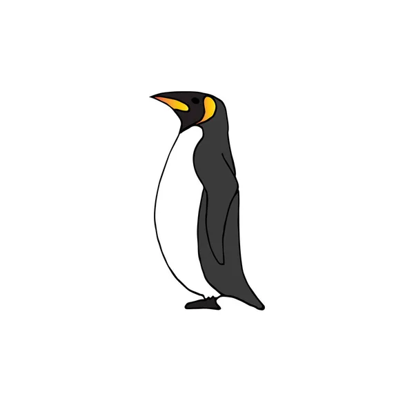 Vector Hand Getekend Doodle Schets Gekleurde Pinguïn Geïsoleerd Witte Achtergrond — Stockvector