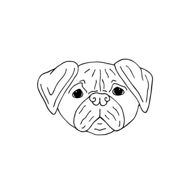 Vektör el çizimi beyaz arka planda izole edilmiş pug dog yüzü