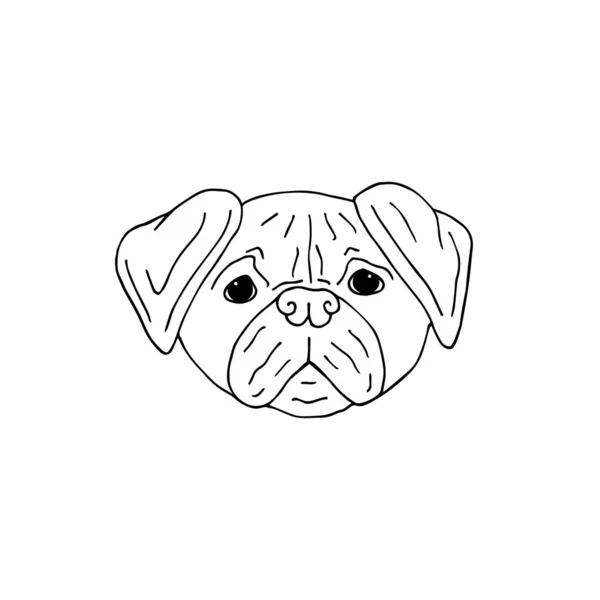 Vector Dibujado Mano Doodle Boceto Pug Perro Cara Aislado Sobre — Vector de stock