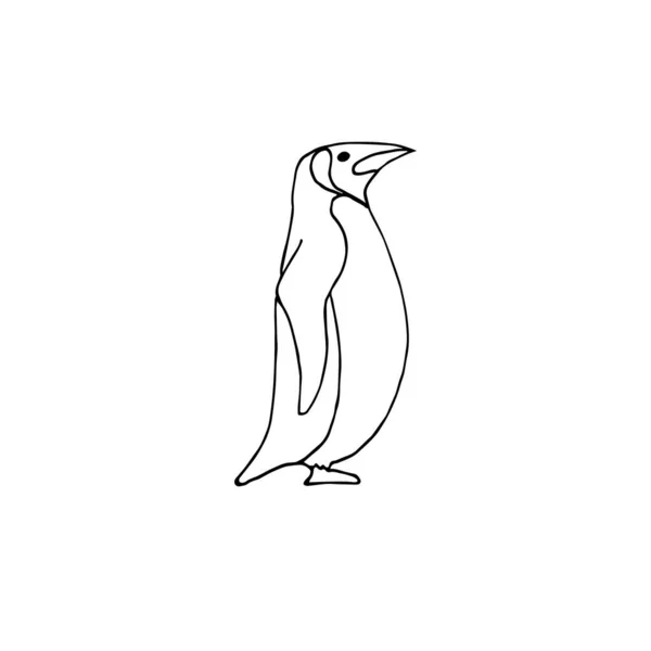 Vector Mão Desenhada Doodle Esboço Pinguim Isolado Fundo Branco — Vetor de Stock