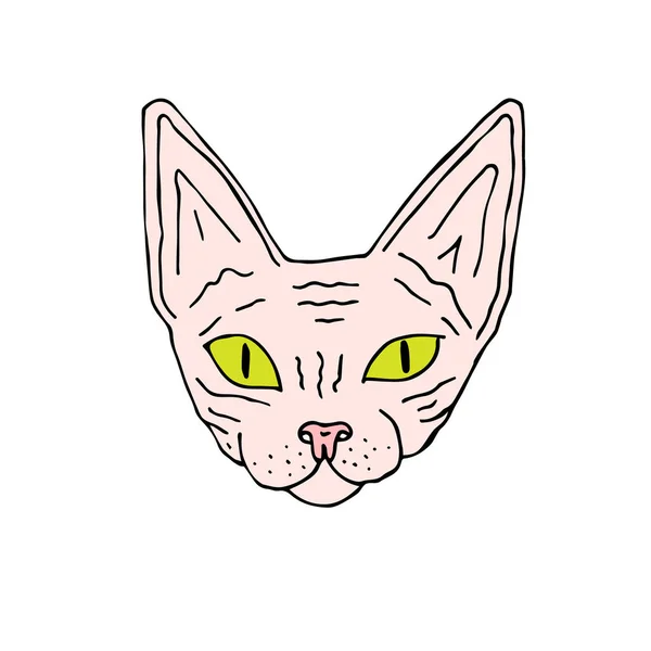 Vektor tangan gambar corat-coret berwarna Sphynx wajah kucing - Stok Vektor