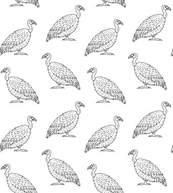 El çiziminin kusursuz çizimi. Beyaz arka planda izole edilmiş Griffon akbabası.