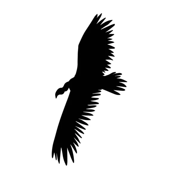 Vector Dibujado Mano Volador Grifo Buitre Silueta Aves Aislado Sobre — Archivo Imágenes Vectoriales