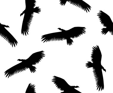 Beyaz arka planda izole edilmiş, kusursuz el çizimi uçan griffon akbaba silueti.