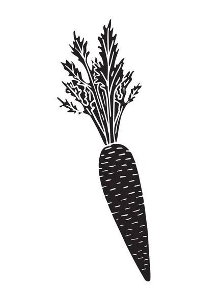 Vector Negro Dibujado Mano Garabato Bosquejo Zanahoria Aislada Sobre Fondo — Archivo Imágenes Vectoriales