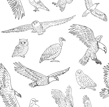 Kuşların vektörsüz deseni  