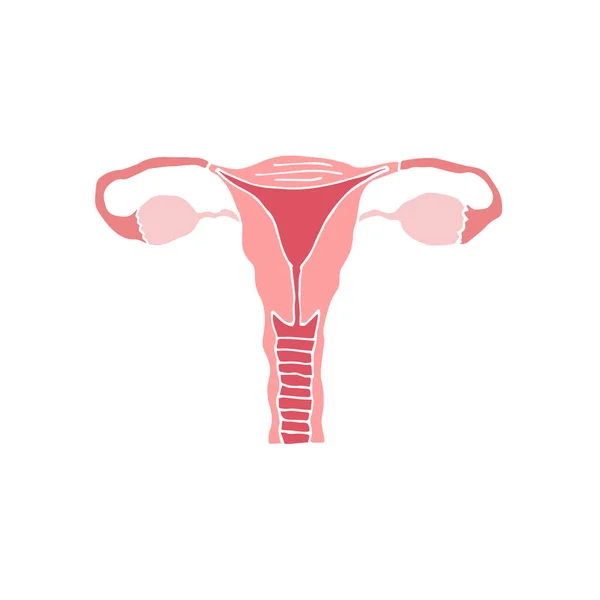 Vector hand getekend doodle schets gekleurde baarmoeder — Stockvector