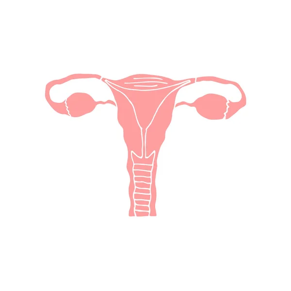 Vector Hand Getekend Doodle Schets Roze Baarmoeder Geïsoleerd Witte Achtergrond — Stockvector