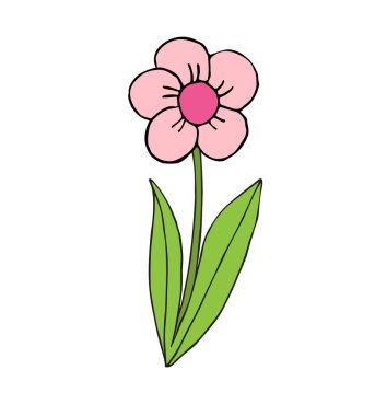 Vektör el çizdi, çizdi lale çiçeği