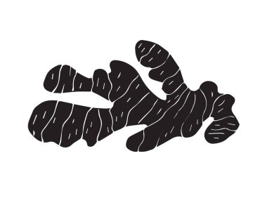 Vektör el çizimi beyaz arkaplanda izole siyah zencefil kökü çizimi