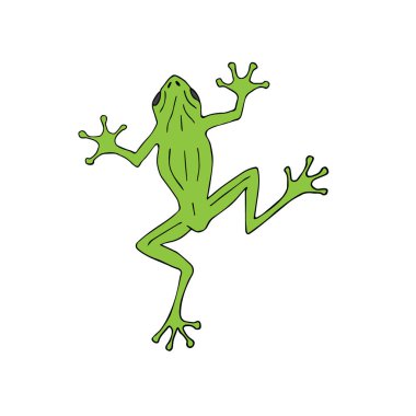 Basit vektör illüstrasyon kurbağası