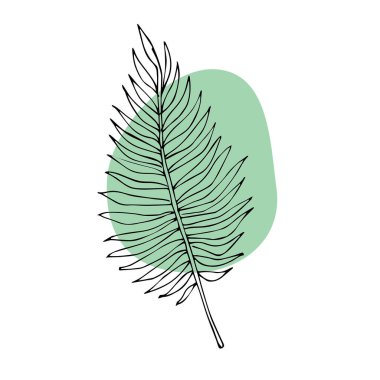 Yaprağın basit illüstrasyonu