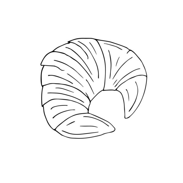 delicious croissant icon vector illustration design