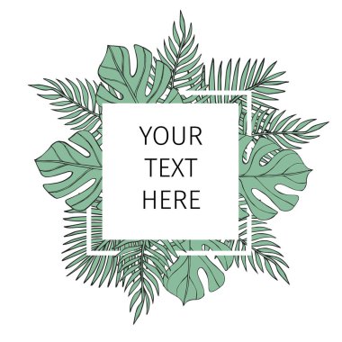 Vektör el çizimi çizim yeşil renkli palmiye yaprakları çerçeve afişi beyaz arkaplanda izole