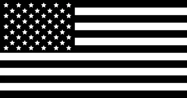Векторный Черный Плоский Американский Флаг Изолирован Белом Фоне — стоковый вектор