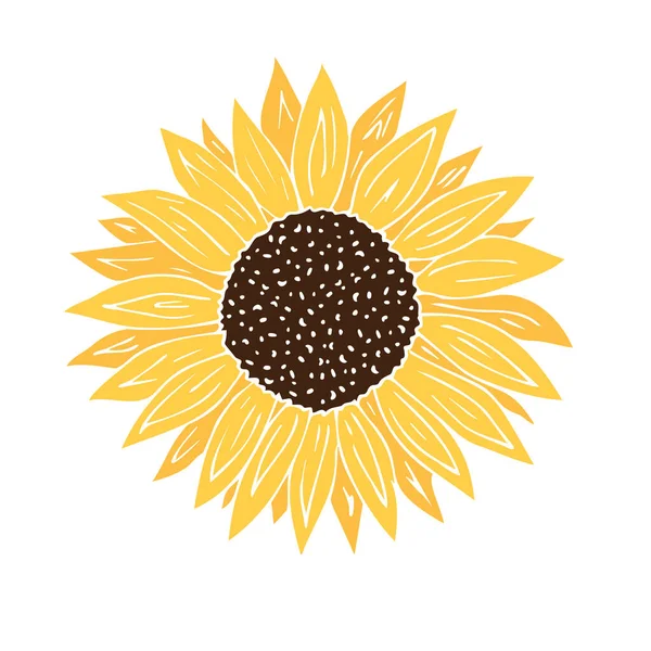 Vetor Mão Desenhado Rabiscar Esboço Colorido Sol Girassol Flor Isolado —  Vetores de Stock