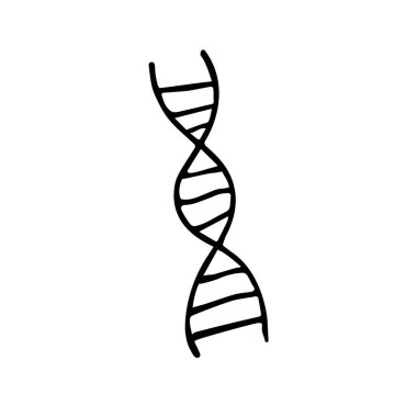 DNA sarmalının vektör çizimi